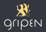 Business coaching - Gripen - Guy Hendrickx
