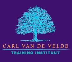 Business coaching - Carl Van de Velde Training Instituut