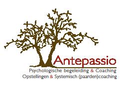 Team coaching - Antepassio